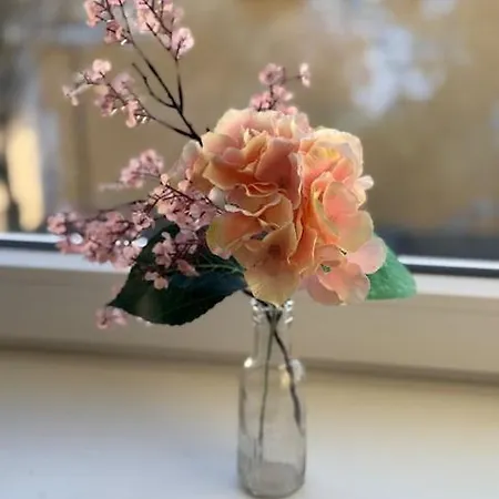 Motel Folsted - 204 Med Eget Badeværelse Og Fri Parkering Bindslev